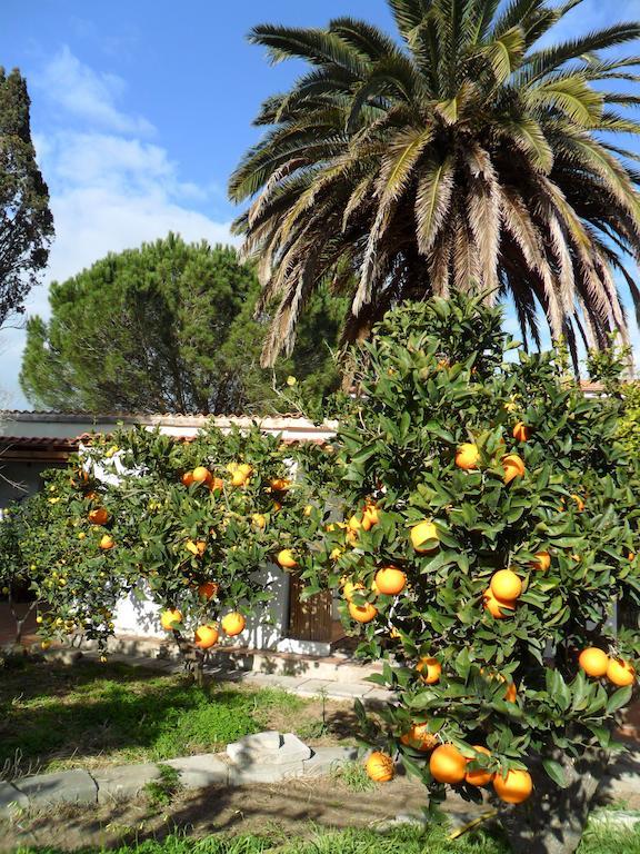Bed and Breakfast Il Giardino Di Emilio Marrùbiu Zimmer foto